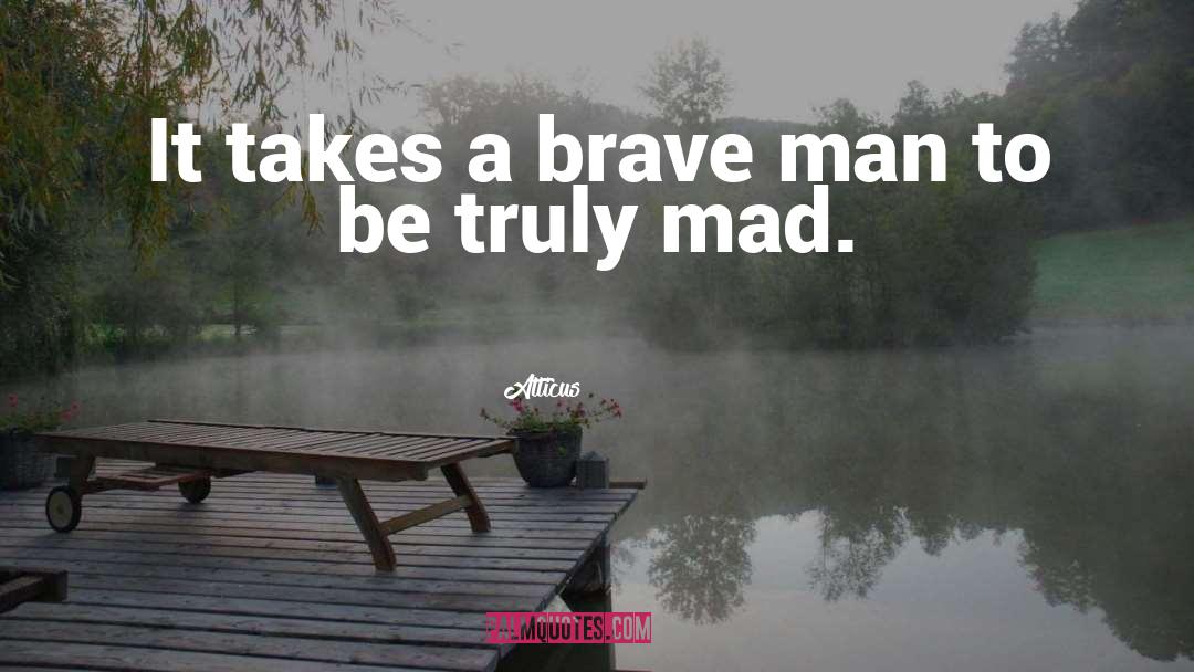 Brave Man quotes by Atticus