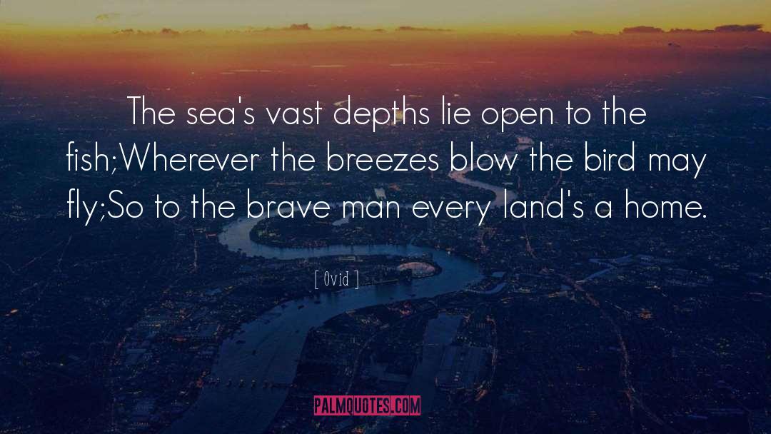 Brave Man quotes by Ovid