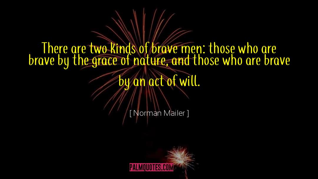 Brave Men quotes by Norman Mailer