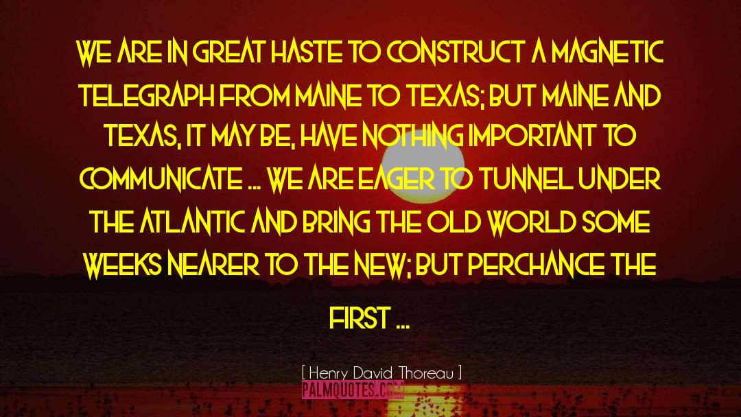 Brave New World Happiness quotes by Henry David Thoreau