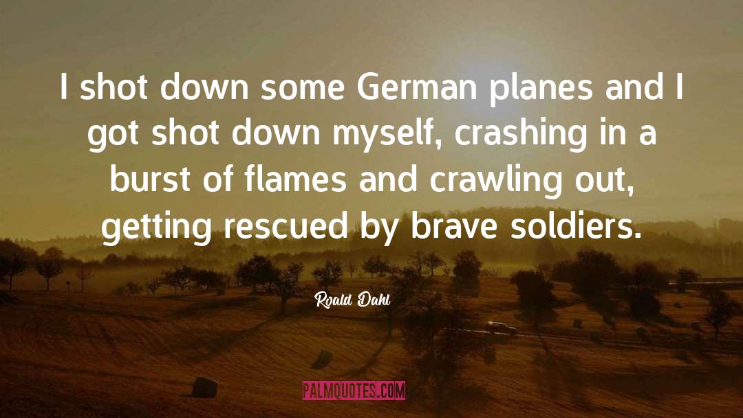 Brave Soldiers quotes by Roald Dahl