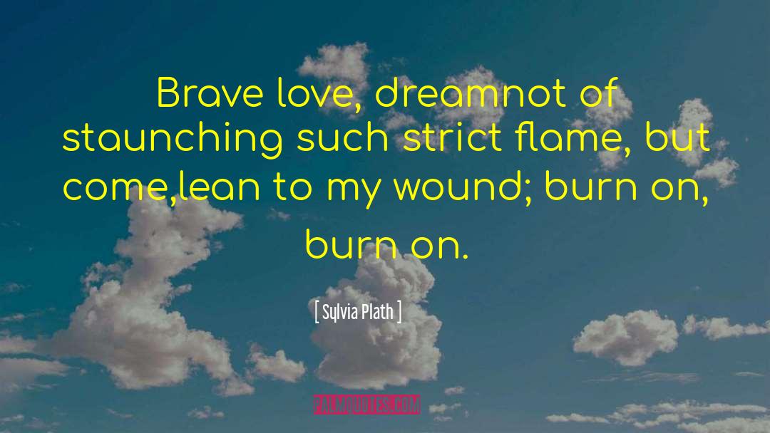 Brave Souls quotes by Sylvia Plath