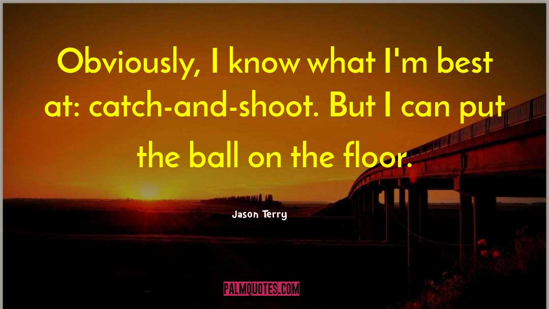 Braverman Terry quotes by Jason Terry