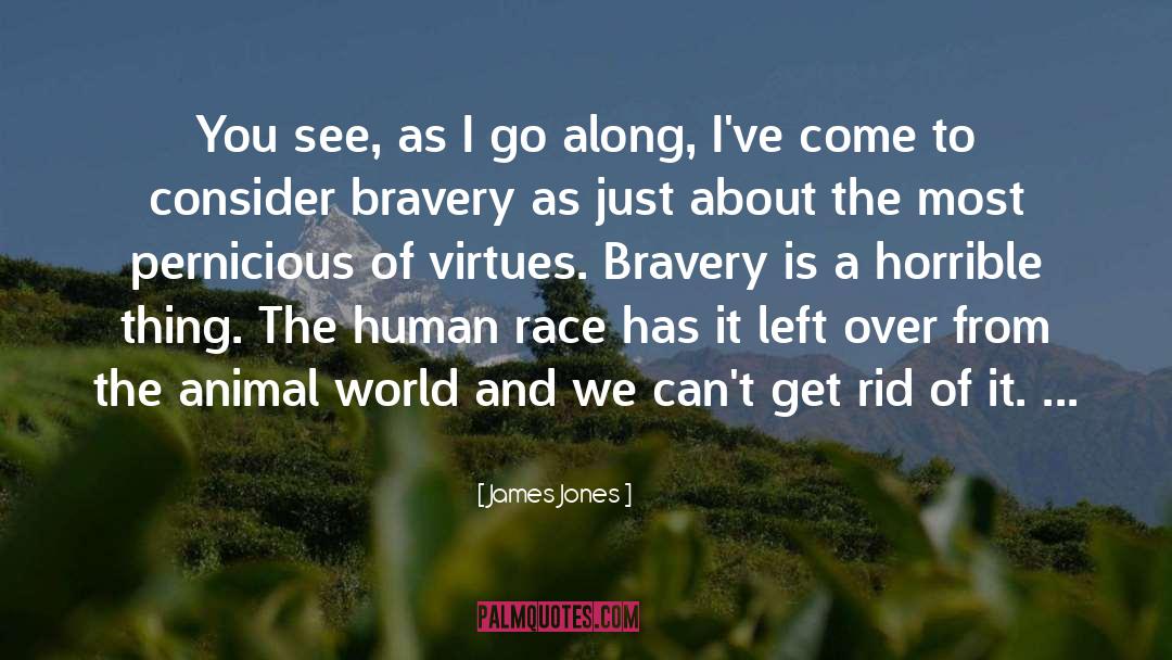 Bravery Award quotes by James Jones
