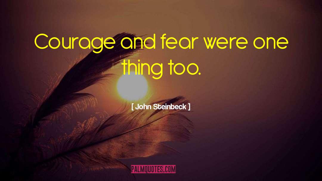 Bravery Divergent Fear Courage quotes by John Steinbeck
