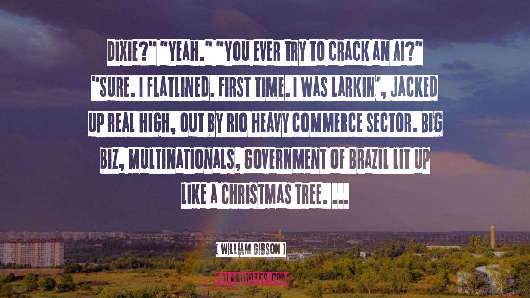 Brazil Decoration quotes by William Gibson