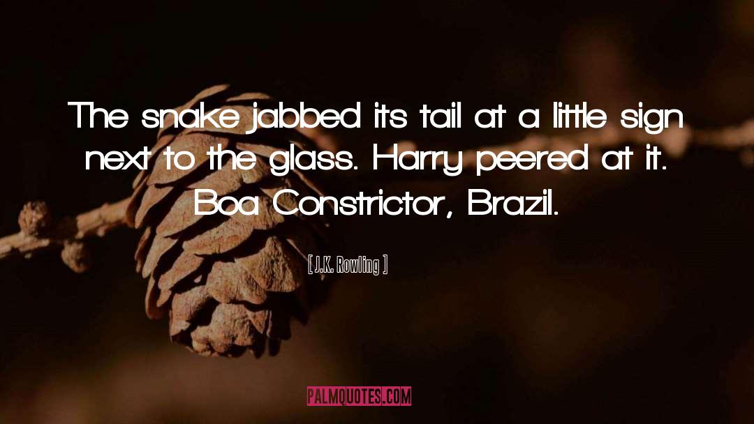 Brazil quotes by J.K. Rowling