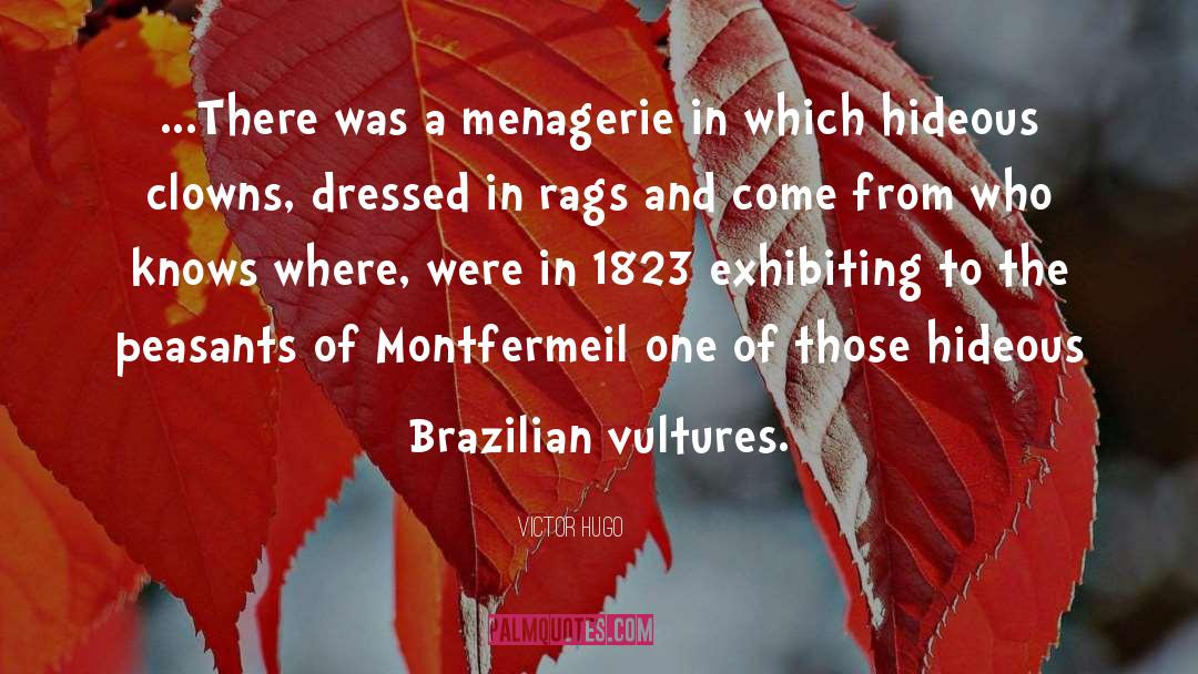 Brazilian quotes by Victor Hugo