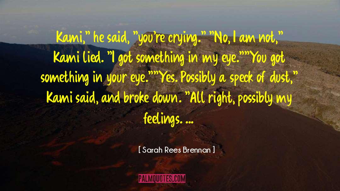 Brb Crying quotes by Sarah Rees Brennan