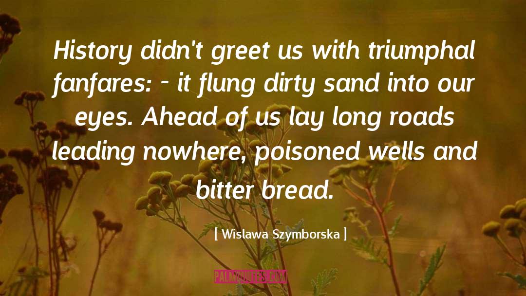 Bread Crumbs quotes by Wislawa Szymborska