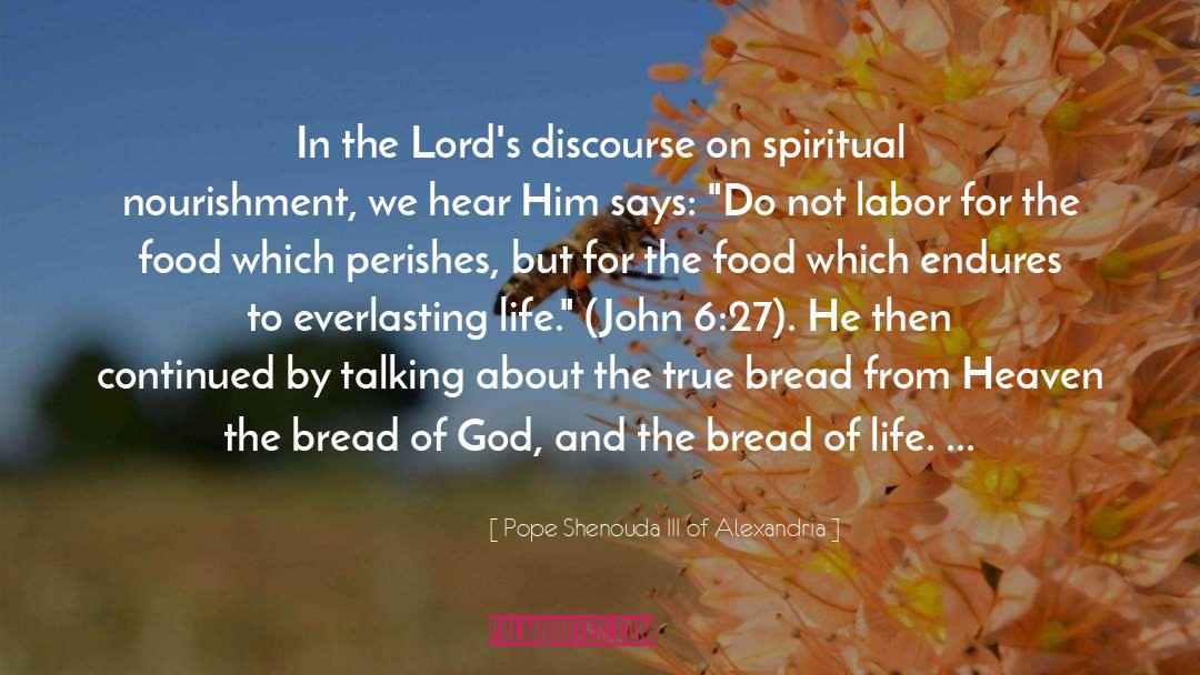 Bread Of Life quotes by Pope Shenouda III Of Alexandria