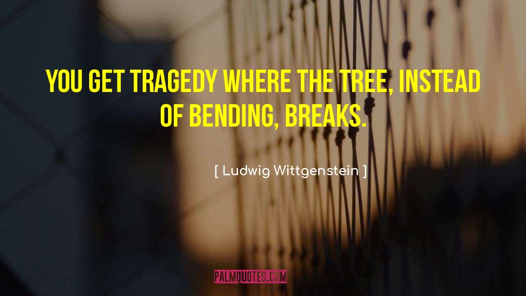 Break Barriers quotes by Ludwig Wittgenstein