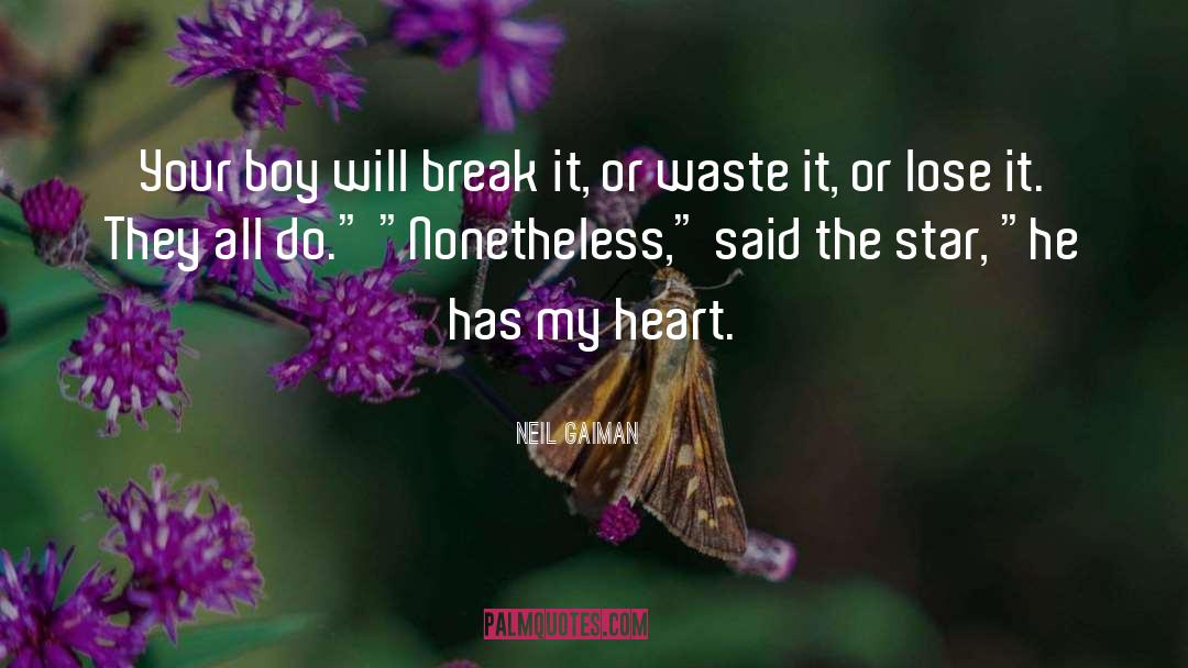 Break It quotes by Neil Gaiman
