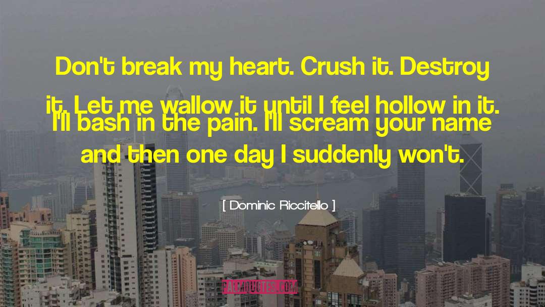 Break My Heart quotes by Dominic Riccitello