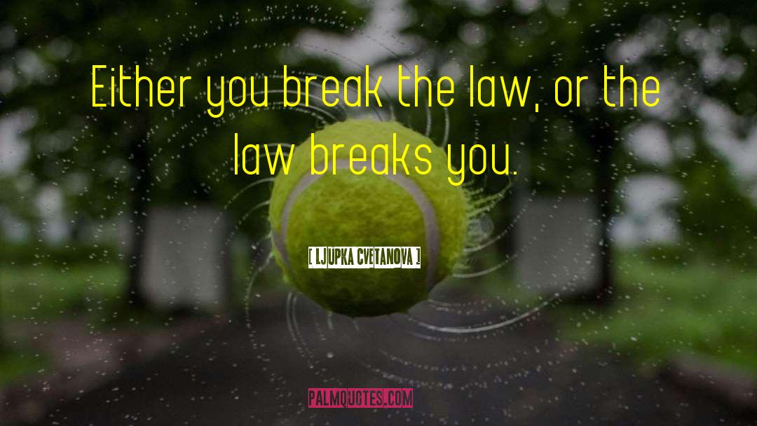 Break The Law quotes by Ljupka Cvetanova