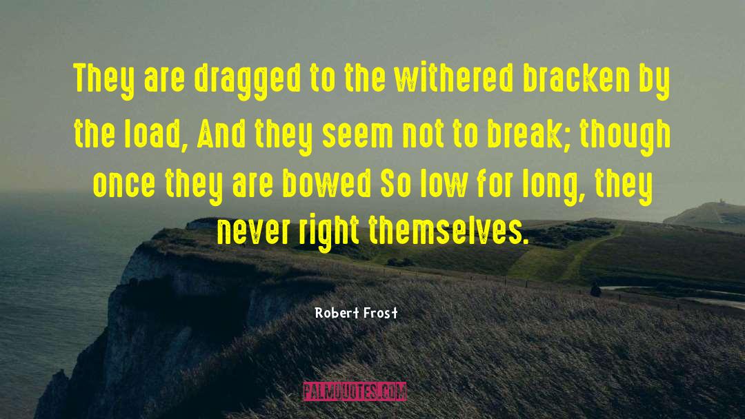 Break The Mold quotes by Robert Frost