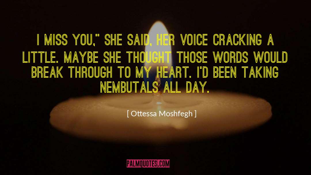 Break Through quotes by Ottessa Moshfegh