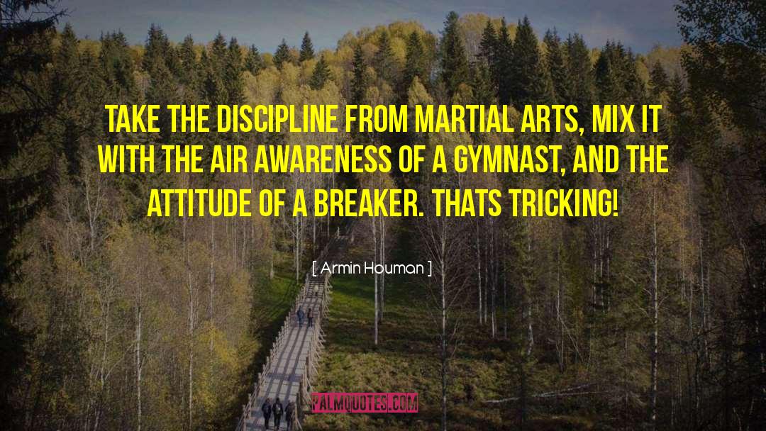 Breaker quotes by Armin Houman