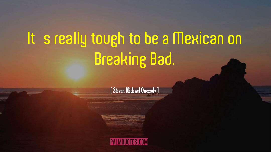 Breaking A Bad Habit quotes by Steven Michael Quezada