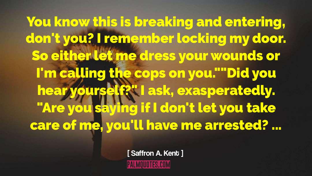 Breaking And Entering quotes by Saffron A. Kent