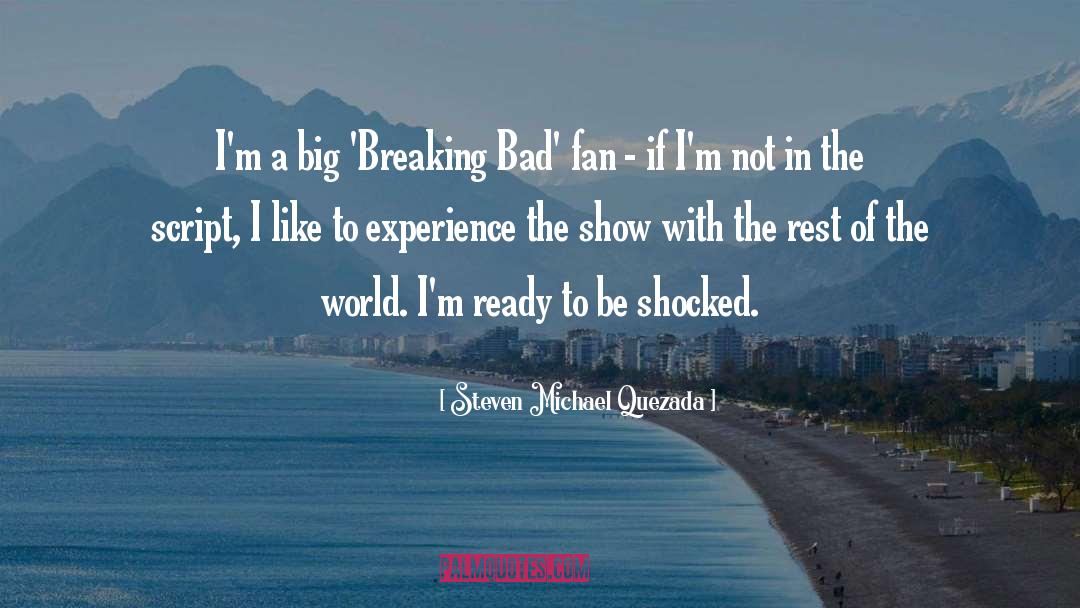 Breaking Bad quotes by Steven Michael Quezada