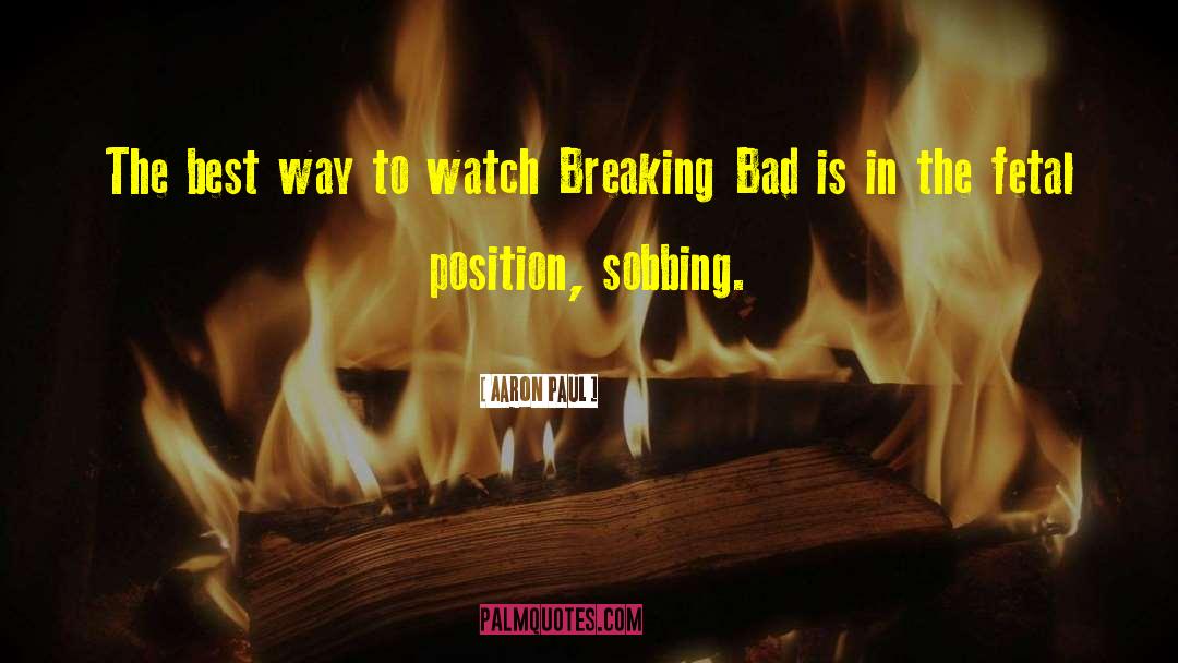 Breaking Bad quotes by Aaron Paul