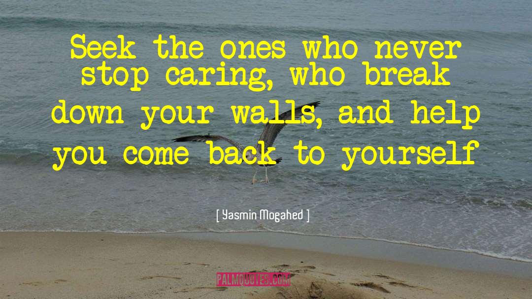 Breaking Down Barriers quotes by Yasmin Mogahed