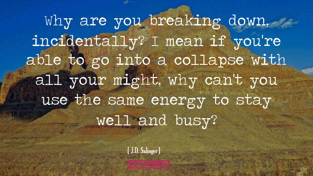 Breaking Down quotes by J.D. Salinger
