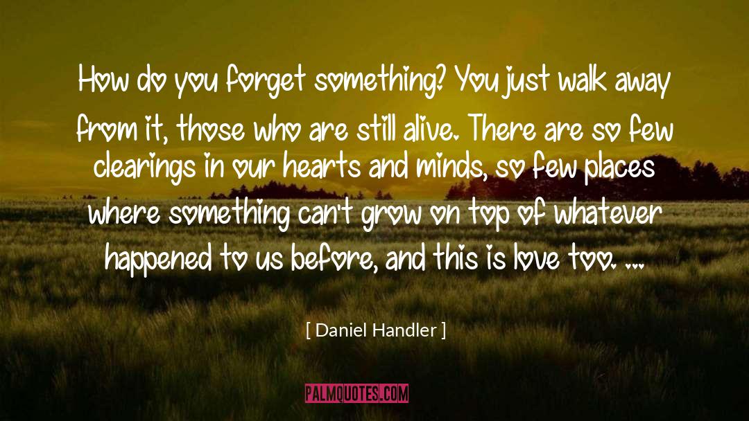 Breaking Hearts quotes by Daniel Handler