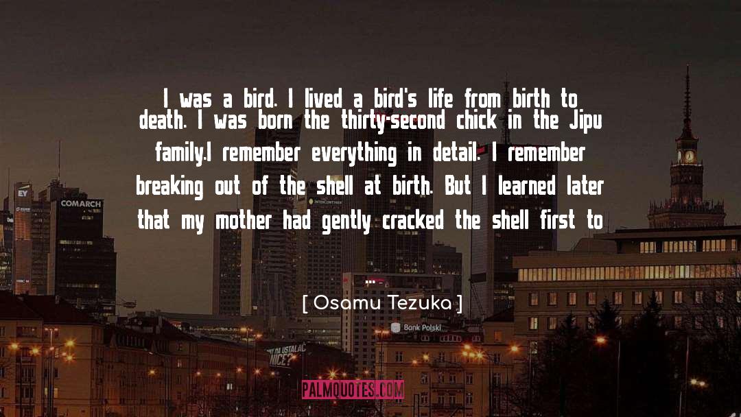 Breaking Out quotes by Osamu Tezuka