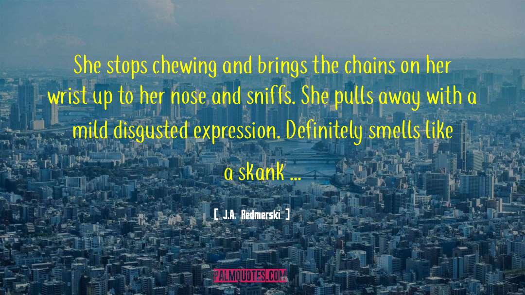 Breaking The Chains quotes by J.A. Redmerski