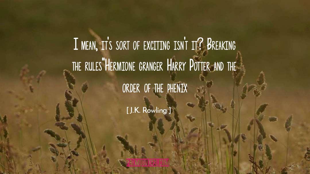 Breaking The Rules quotes by J.K. Rowling