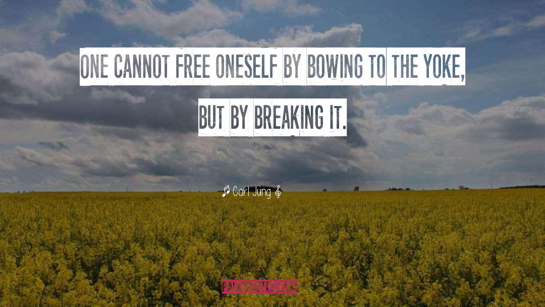 Breaking The Rules quotes by Carl Jung