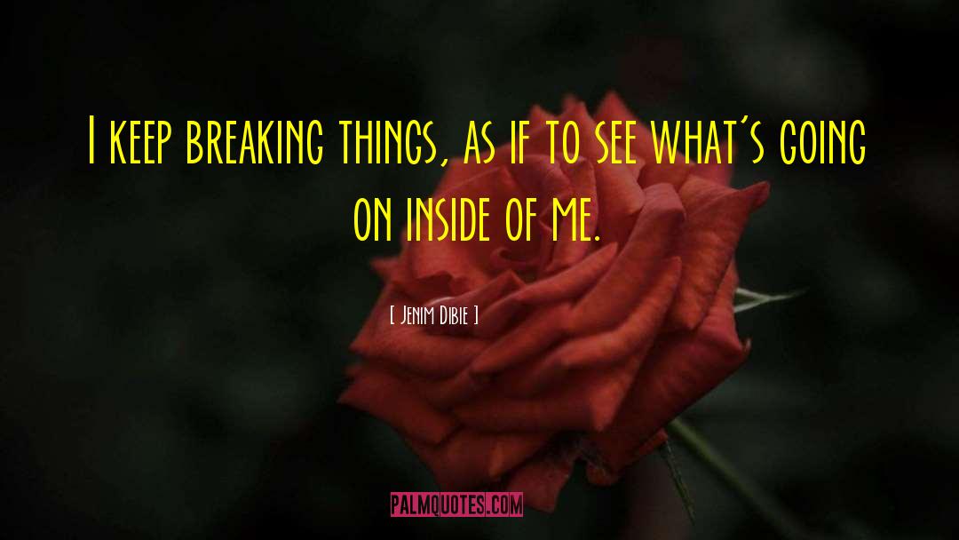 Breaking Things quotes by Jenim Dibie