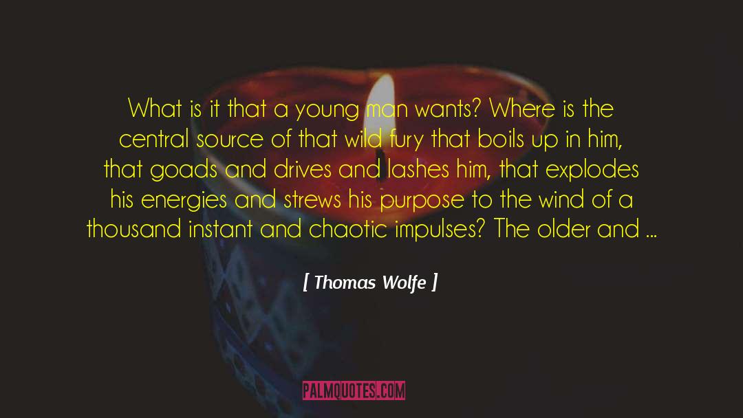 Breaking Wild quotes by Thomas Wolfe