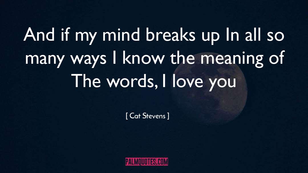 Breaks quotes by Cat Stevens