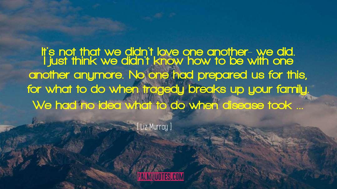 Breaks Up quotes by Liz Murray