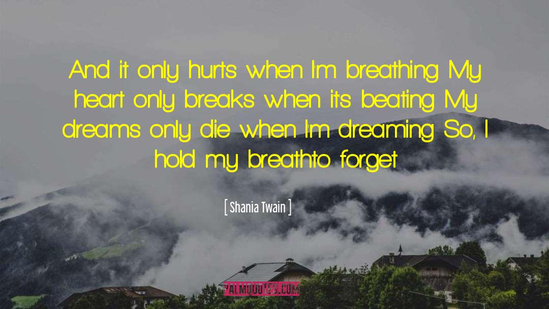 Breaks Up quotes by Shania Twain