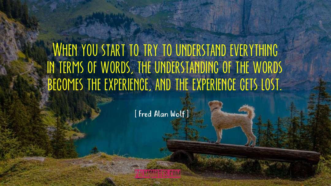 Breakthrough Experience quotes by Fred Alan Wolf