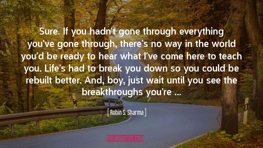 Breakthroughs quotes by Robin S. Sharma