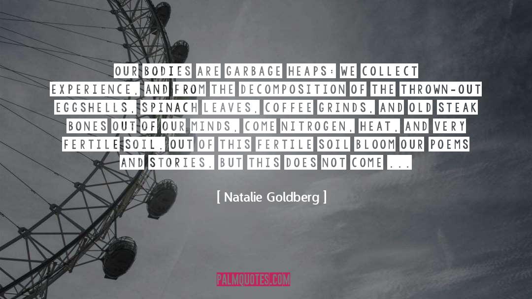 Breakup Poems quotes by Natalie Goldberg