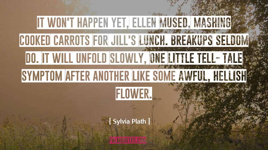 Breakups quotes by Sylvia Plath