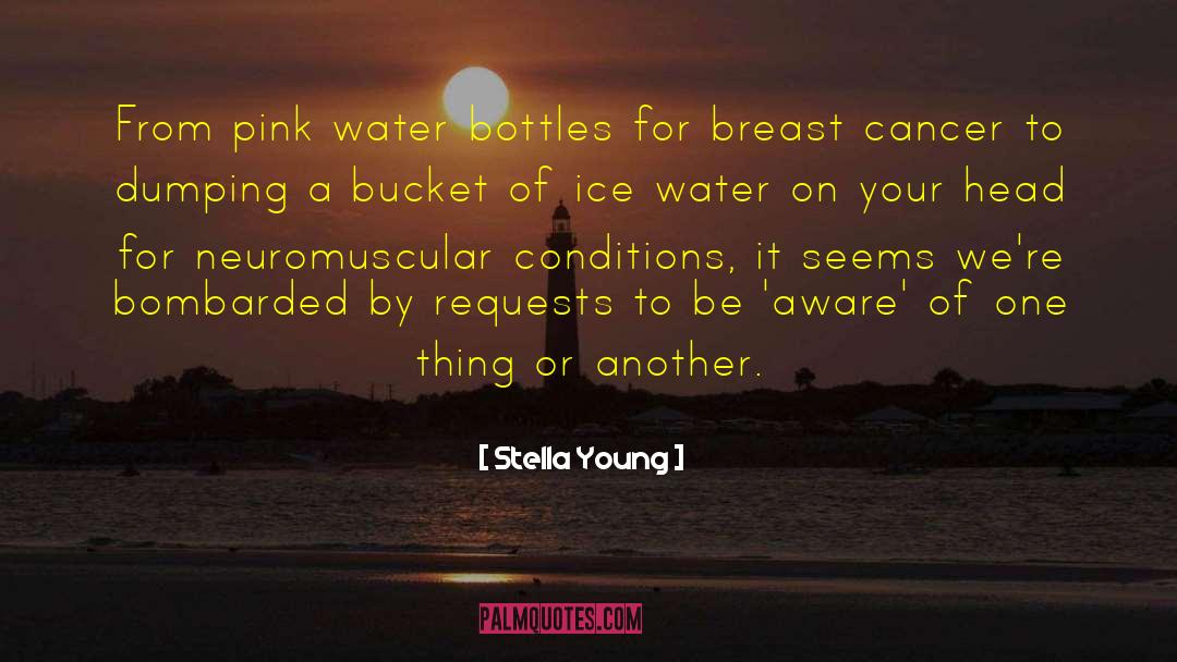 Breast Cancer Inspiration quotes by Stella Young