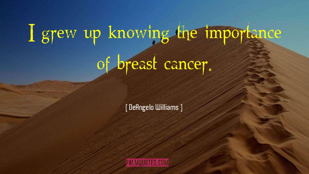 Breast Cancer quotes by DeAngelo Williams