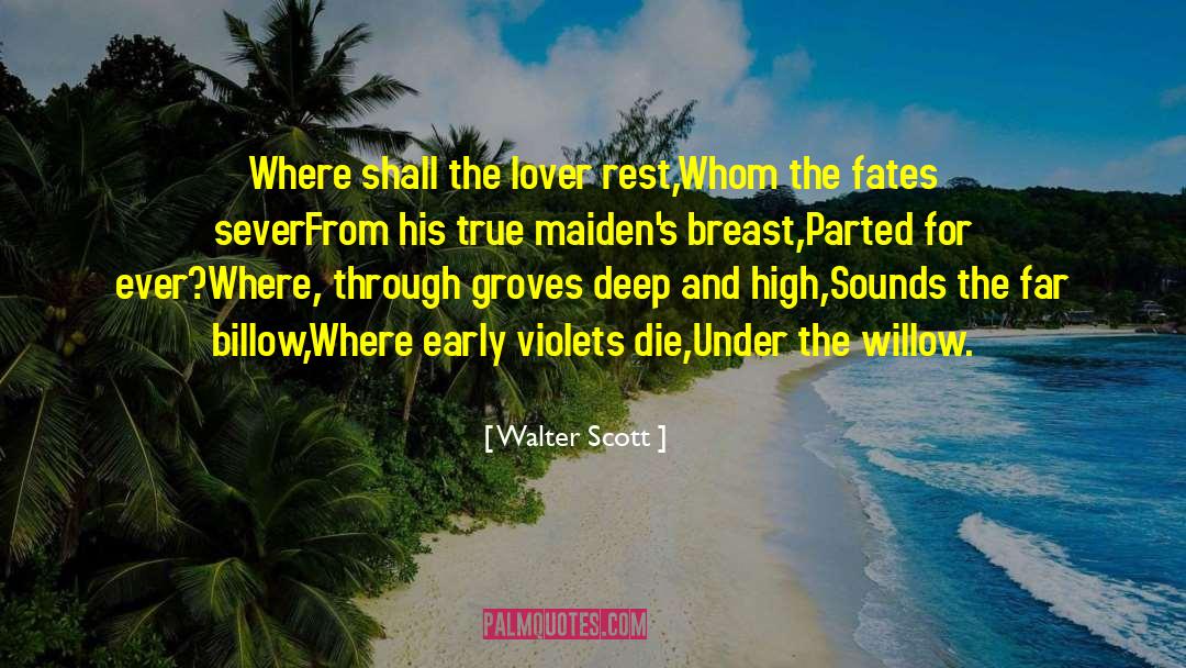 Breast Exam quotes by Walter Scott