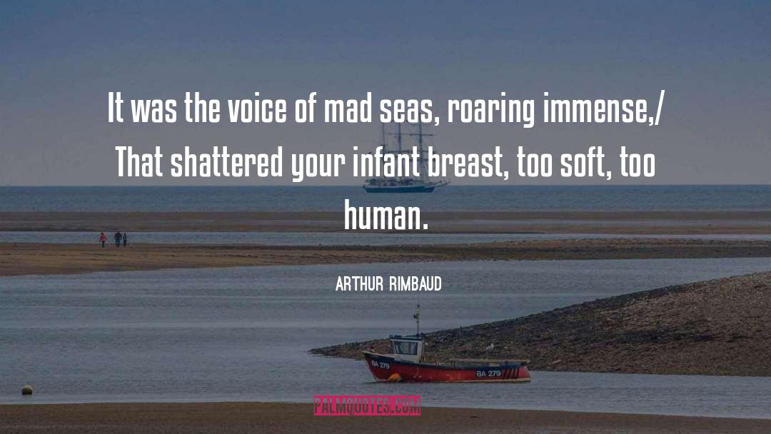 Breast quotes by Arthur Rimbaud