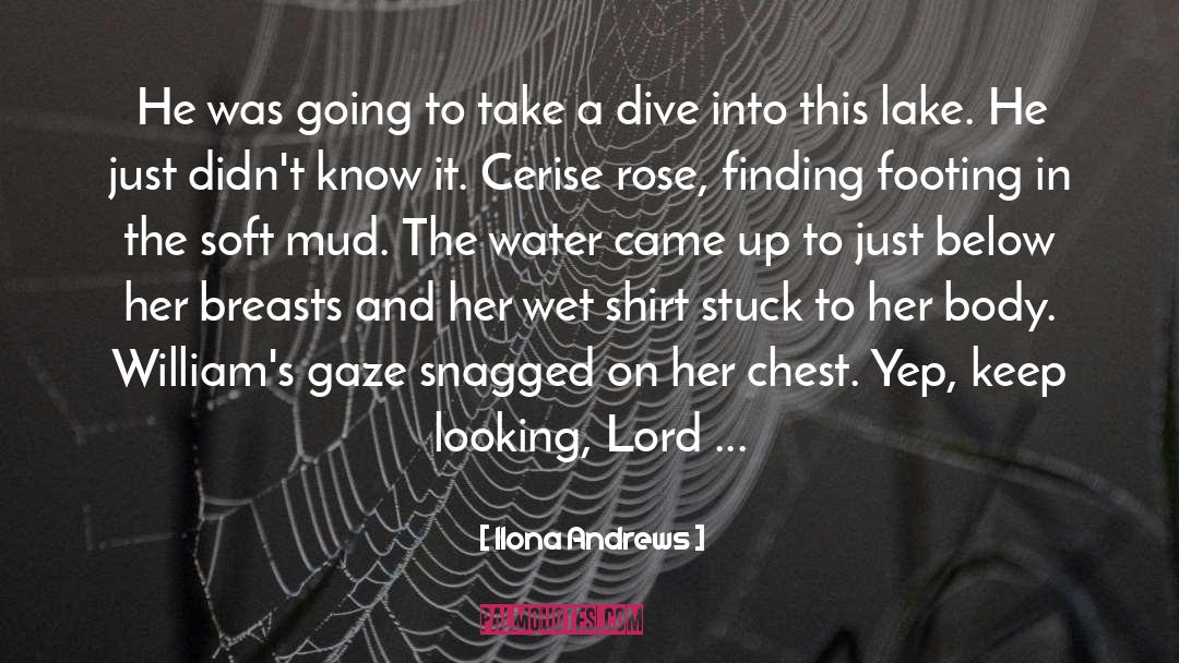 Breasts quotes by Ilona Andrews