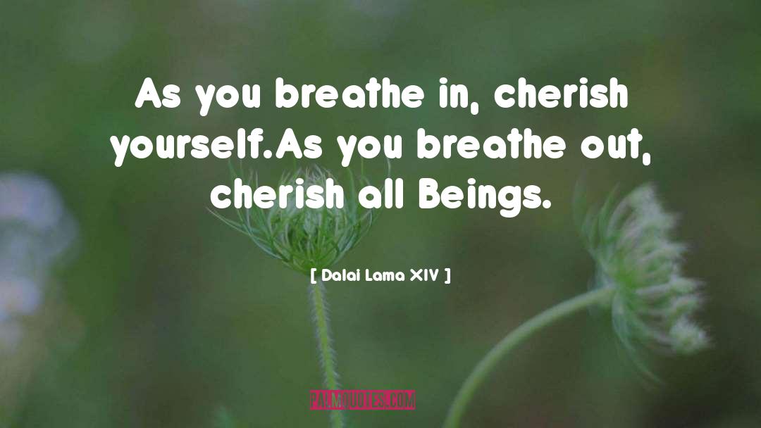 Breathe In quotes by Dalai Lama XIV