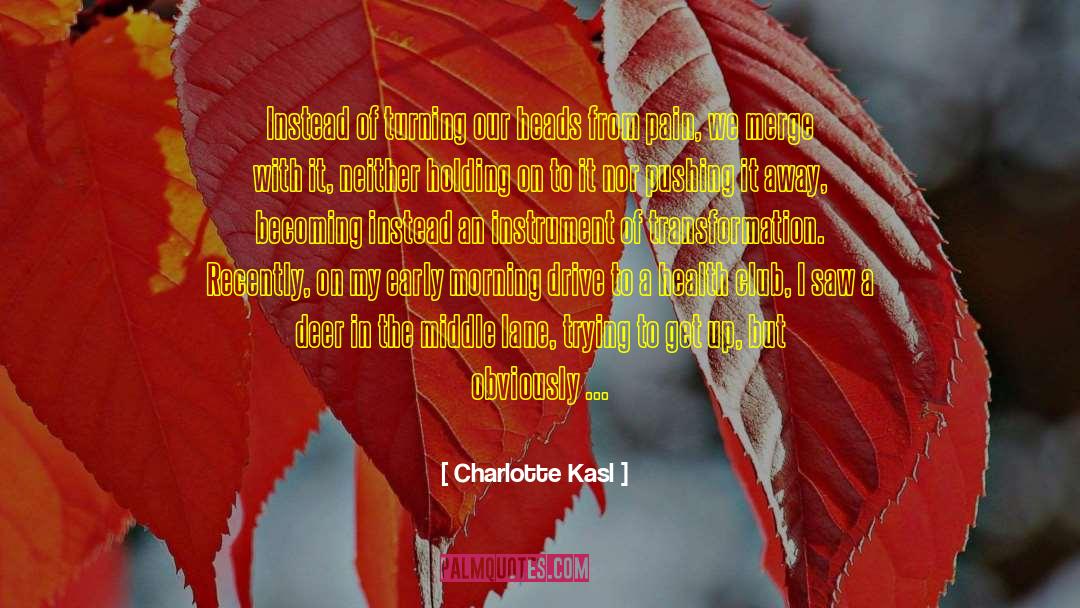 Breathe Light Into Your Body quotes by Charlotte Kasl