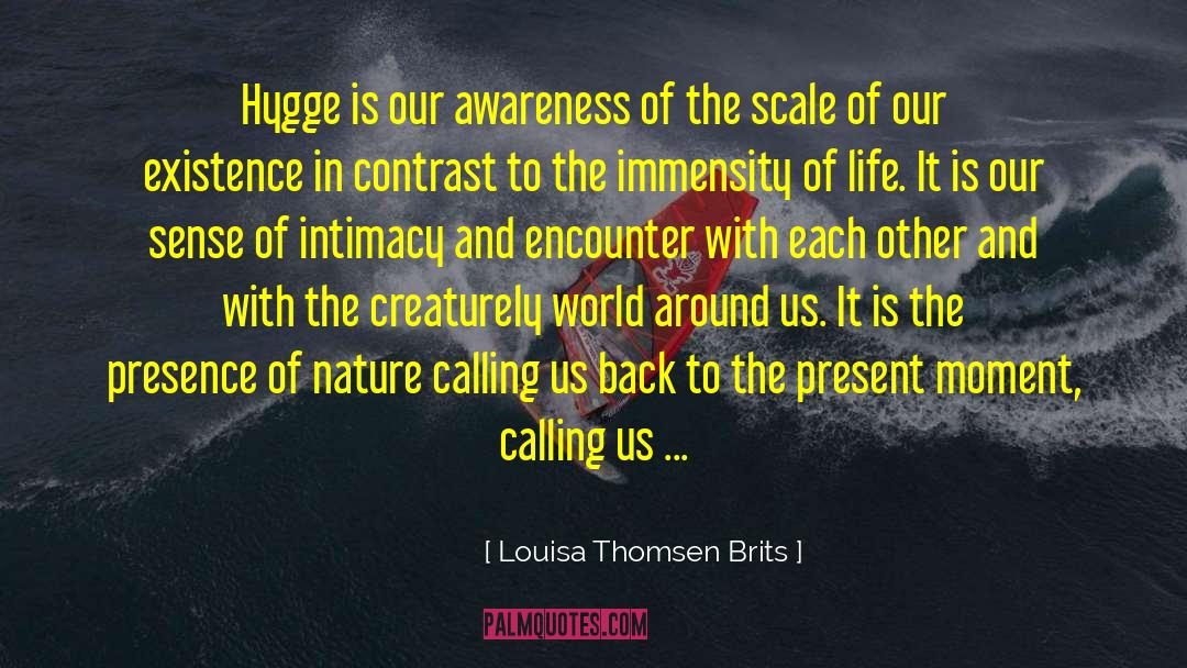 Breathing In Awareness quotes by Louisa Thomsen Brits